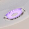 Haderup Taklampa LED Krom, Vit, 1-ljuskällor, Fjärrkontroll