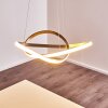 Pitasch Pendellampa LED Nickel matt, 1-ljuskällor