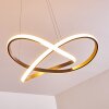 Pitasch Pendellampa LED Nickel matt, 1-ljuskällor