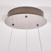 Pitasch Pendellampa LED Nickel matt, 1-ljuskällor