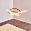 Pitasch Pendellampa LED Nickel matt, 1-ljuskällor