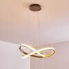 Pitasch Pendellampa LED Nickel matt, 1-ljuskällor