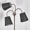 Ascona Golvlampa Nickel matt, 3-ljuskällor