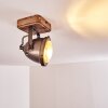 Glostrup Taklampa, Takstrålkastare Brun, Färg i rostfritt stål, 1-ljuskällor