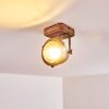 Glostrup Taklampa, Takstrålkastare Brun, Färg i rostfritt stål, 1-ljuskällor
