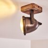 Glostrup Taklampa, Takstrålkastare Brun, Färg i rostfritt stål, 1-ljuskällor
