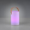 Reality ARUBA Bordslampa utomhus, Bordslampa LED Vit, 1-ljuskällor, Färgväxlare