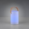 Reality ARUBA Bordslampa utomhus, Bordslampa LED Vit, 1-ljuskällor, Färgväxlare