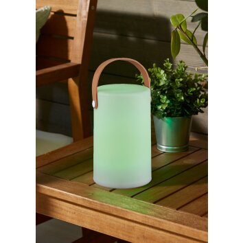 Reality ARUBA Bordslampa utomhus, Bordslampa LED Vit, 1-ljuskällor, Färgväxlare