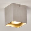 Curacao Taklampa Silver, 1-ljuskällor