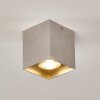 Curacao Taklampa Silver, 1-ljuskällor