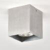 Curacao Taklampa Silver, 1-ljuskällor