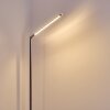 Deje Golvlampa, Läslampa LED Nickel matt, 1-ljuskällor