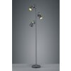 Trio EDWARD Golvlampa Svart, 3-ljuskällor