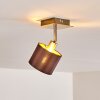 Tibro Taklampa, Takstrålkastare Mässing, Nickel matt, 1-ljuskällor