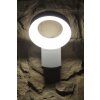 Konstsmide Lampor ASTI vägglampa utomhus, Vägglampa LED Färg i rostfritt stål, 1-ljuskällor