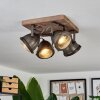 Glostrup Taklampa, Takstrålkastare Brun, Rostfritt stål, 4-ljuskällor