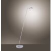 Paul Neuhaus Lampor MARTIN Golvlampa, Golvlampa, Läslampa LED Färg i rostfritt stål, 1-ljuskällor