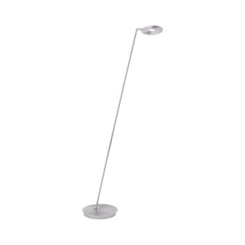 Paul Neuhaus Lampor MARTIN Golvlampa, Golvlampa, Läslampa LED Färg i rostfritt stål, 1-ljuskällor
