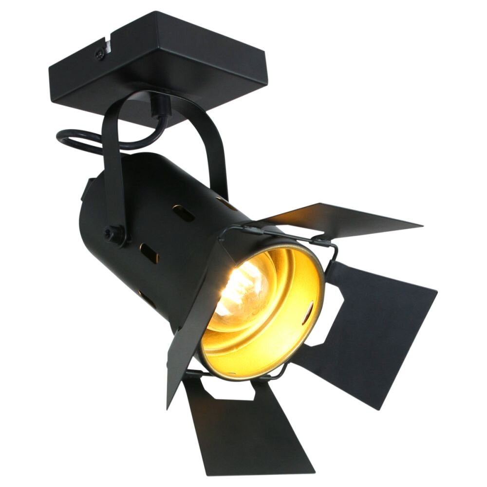 Steinhauer Woschnik Taklampa Svart, 1-ljuskällor main product photo