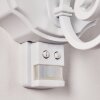 Lentua vägglampa utomhus, Vägglampa Vit, 1-ljuskällor, Rörelsedetektor