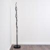 Mapleton Golvlampa, Golvlampa LED Svart, 3-ljuskällor, Fjärrkontroll