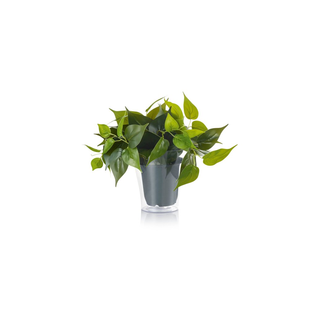 Trio Lampor Plant Tillbehör LED Grön main product photo
