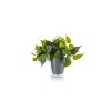 Trio Lampor Plant Tillbehör LED Grön