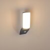 Porus Vägglampa LED Antracit, 1-ljuskällor, Rörelsedetektor