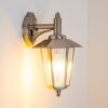 Moskau vägglampa utomhus, Vägglampa Färg i rostfritt stål, Genomskinlig, klar, 1-ljuskällor