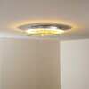 Springdale Taklampa LED Silver, 4-ljuskällor
