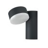 Ledvance ENDURA vägglampa utomhus, Vägglampa LED Svart, 1-ljuskällor