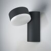 Ledvance ENDURA vägglampa utomhus, Vägglampa LED Svart, 1-ljuskällor