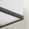 Buckau Vägglampa LED Antracit, Vit, 1-ljuskällor
