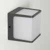 Buckau Vägglampa LED Antracit, Vit, 1-ljuskällor