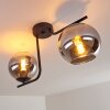 Cayuta Taklampa Svart, 2-ljuskällor