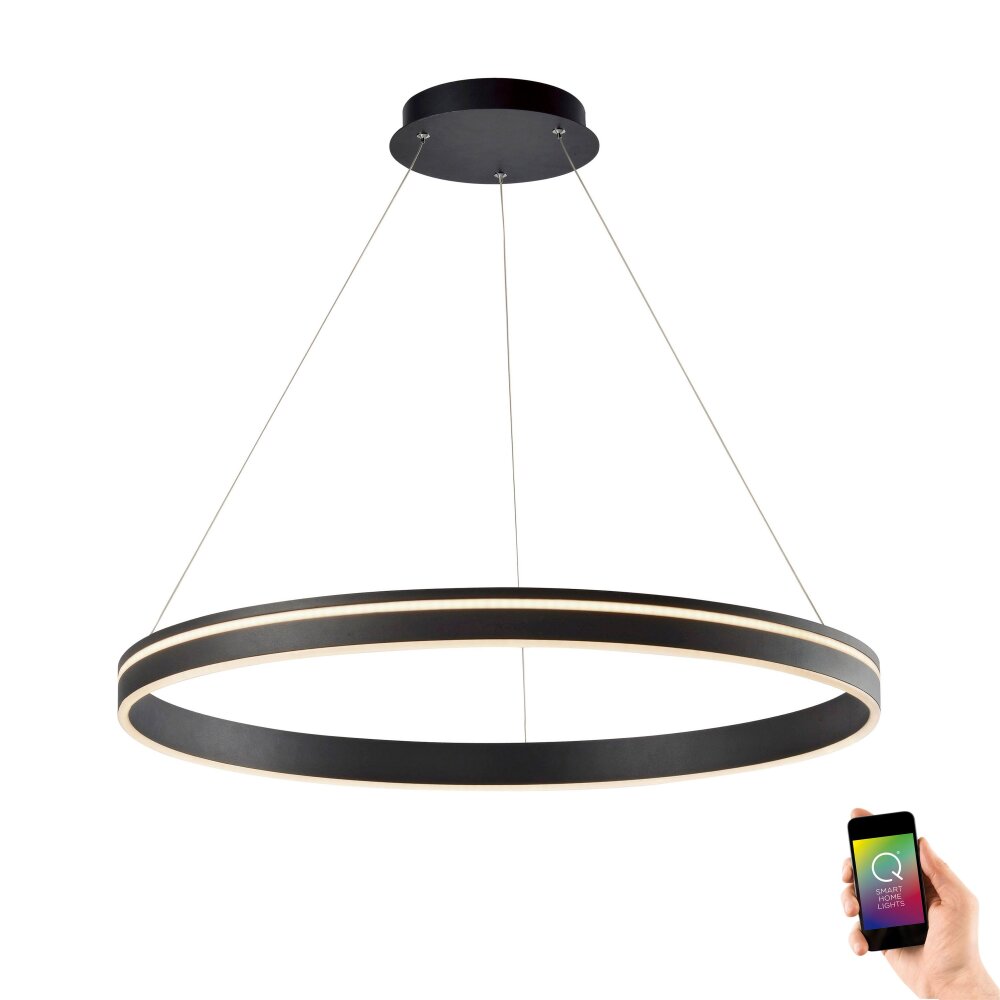 Paul Neuhaus Q-Serie Q-VITO Pendelbelysning LED Antracit, 1-ljuskällor, Fjärrkontroll main product photo