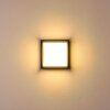 Lysabild Vägglampa LED Svart, 1-ljuskällor