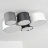 Skelbaek Taklampa Vit, 5-ljuskällor