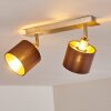 Tibro Taklampa, Takstrålkastare Mässing, Nickel matt, 2-ljuskällor