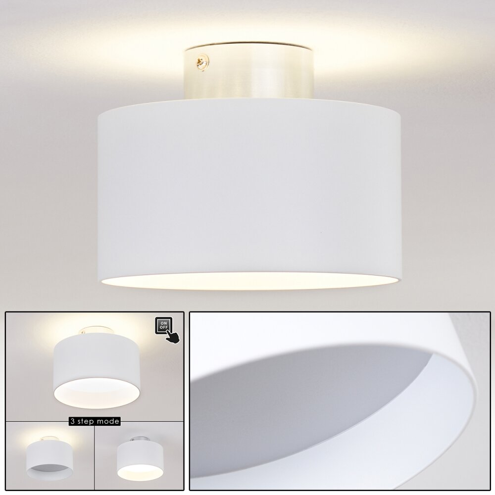 Baraboo Taklampa LED Nickel matt, 2-ljuskällor main product photo