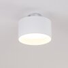 Baraboo Taklampa LED Nickel matt, 2-ljuskällor