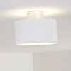 Baraboo Taklampa LED Nickel matt, 2-ljuskällor