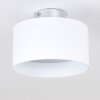 Baraboo Taklampa LED Nickel matt, 2-ljuskällor