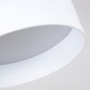 Baraboo Taklampa LED Nickel matt, 2-ljuskällor