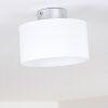Baraboo Taklampa LED Nickel matt, 2-ljuskällor