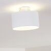 Baraboo Taklampa LED Nickel matt, 2-ljuskällor