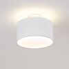 Baraboo Taklampa LED Nickel matt, 2-ljuskällor