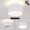 Baraboo Taklampa LED Nickel matt, 2-ljuskällor