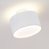 Baraboo Taklampa LED Nickel matt, 2-ljuskällor